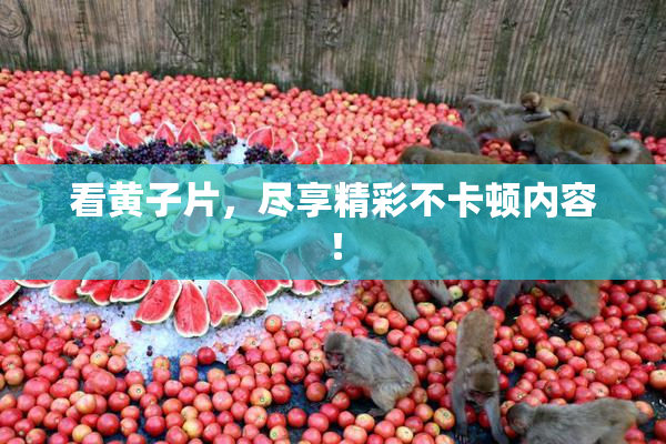 看黄子片，尽享精彩不卡顿内容！