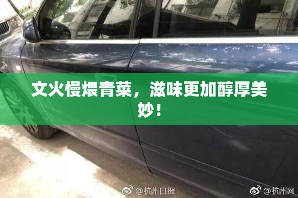 文火慢煨青菜，滋味更加醇厚美妙！