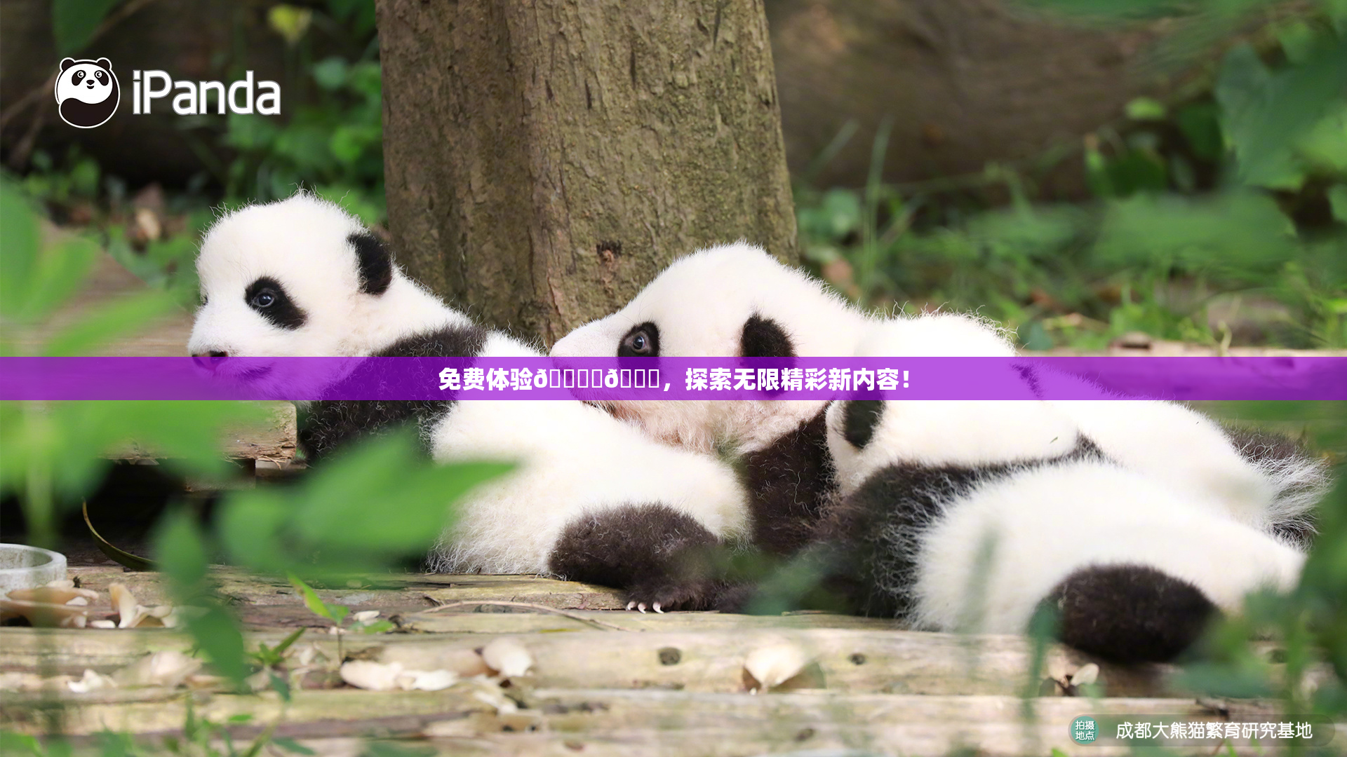 免费体验🔞‌🍌，探索无限精彩新内容！