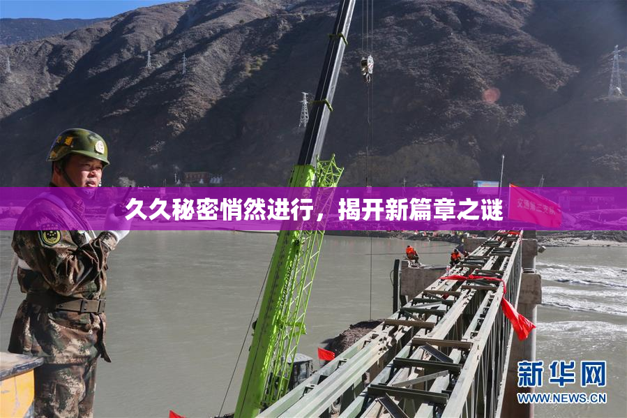 久久秘密悄然进行，揭开新篇章之谜