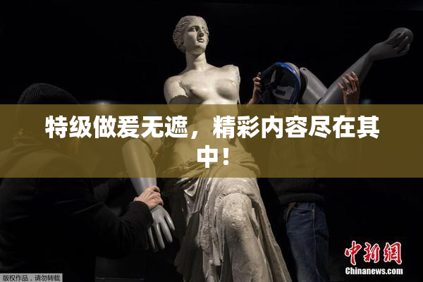 特级做爰无遮，精彩内容尽在其中！