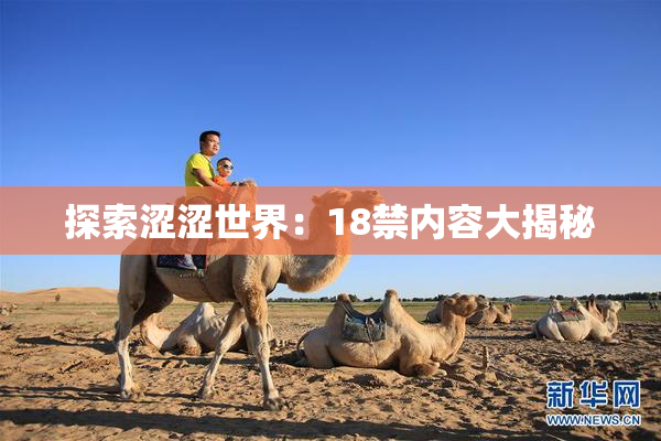 探索涩涩世界：18禁内容大揭秘