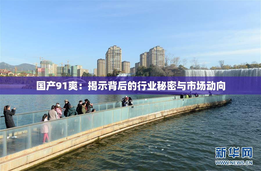 国产91爽：揭示背后的行业秘密与市场动向