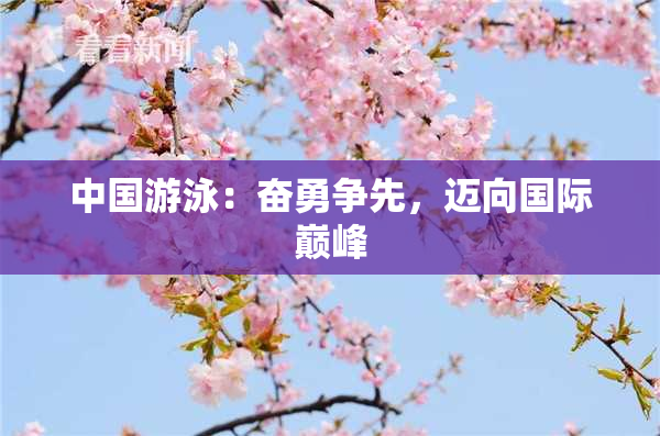中国游泳：奋勇争先，迈向国际巅峰
