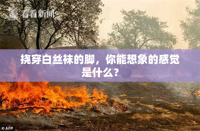 挠穿白丝袜的脚，你能想象的感觉是什么？