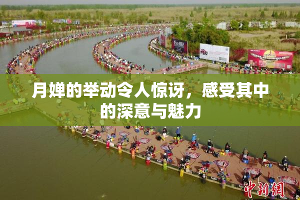月婵的举动令人惊讶，感受其中的深意与魅力