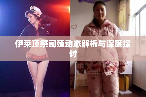 伊莱顶祭司殖动态解析与深度探讨