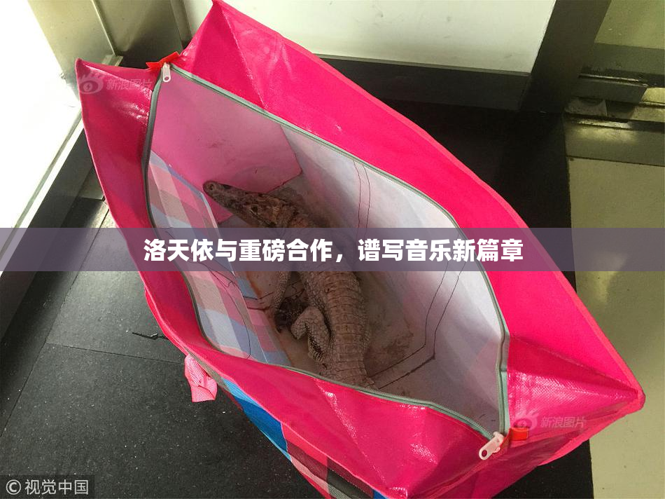 洛天依与重磅合作，谱写音乐新篇章