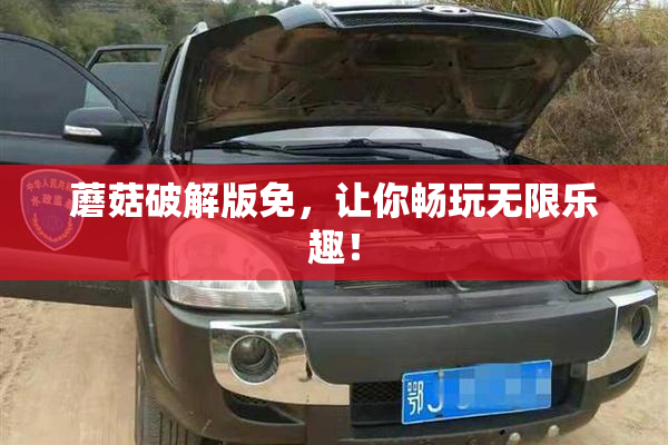 蘑菇破解版免，让你畅玩无限乐趣！