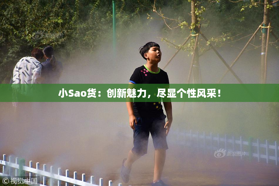 小Sao货：创新魅力，尽显个性风采！