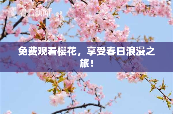 免费观看樱花，享受春日浪漫之旅！