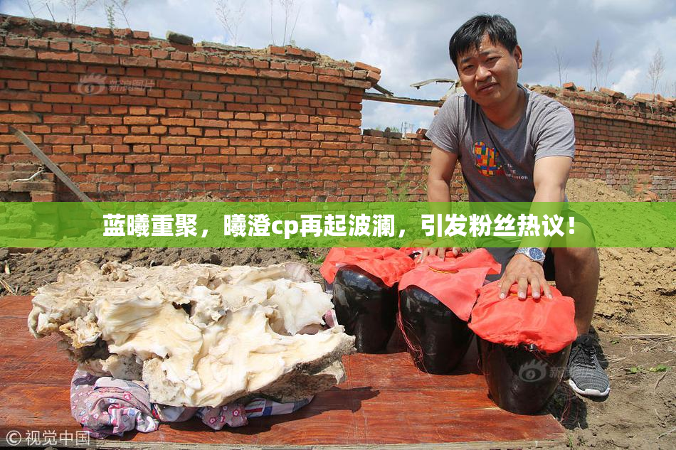 蓝曦重聚，曦澄cp再起波澜，引发粉丝热议！