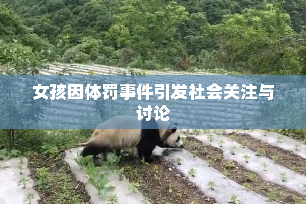 女孩因体罚事件引发社会关注与讨论