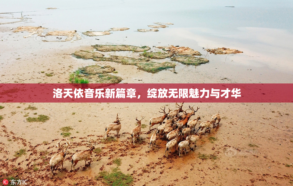 洛天依音乐新篇章，绽放无限魅力与才华