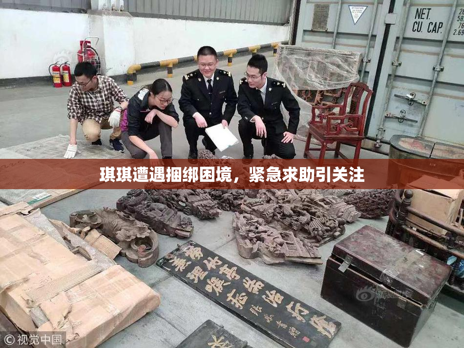 琪琪遭遇捆绑困境，紧急求助引关注