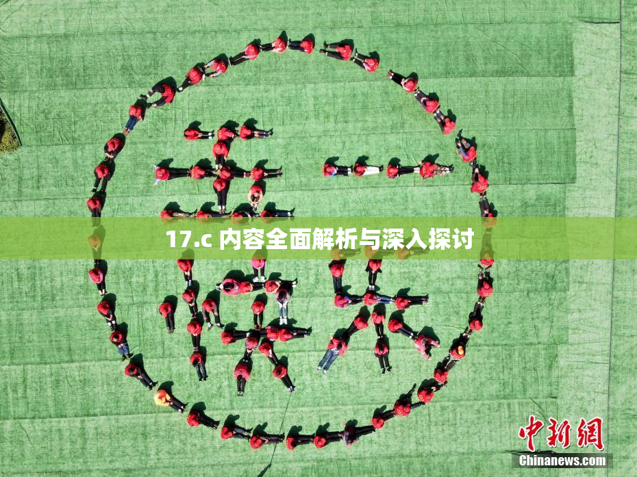 17.c 内容全面解析与深入探讨