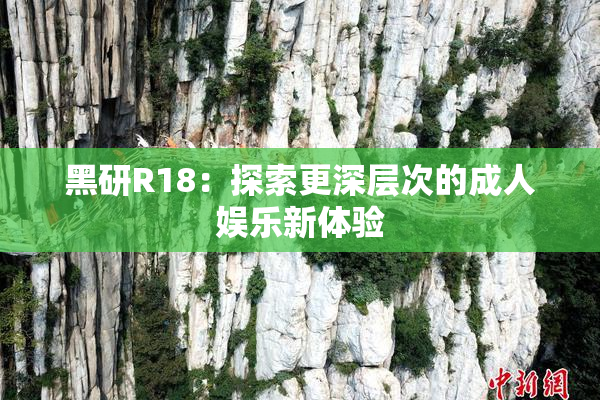 黑研R18：探索更深层次的成人娱乐新体验