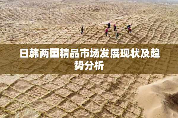 日韩两国精品市场发展现状及趋势分析