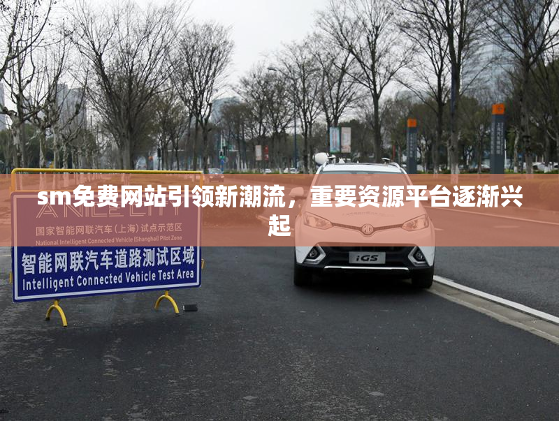 sm免费网站引领新潮流，重要资源平台逐渐兴起