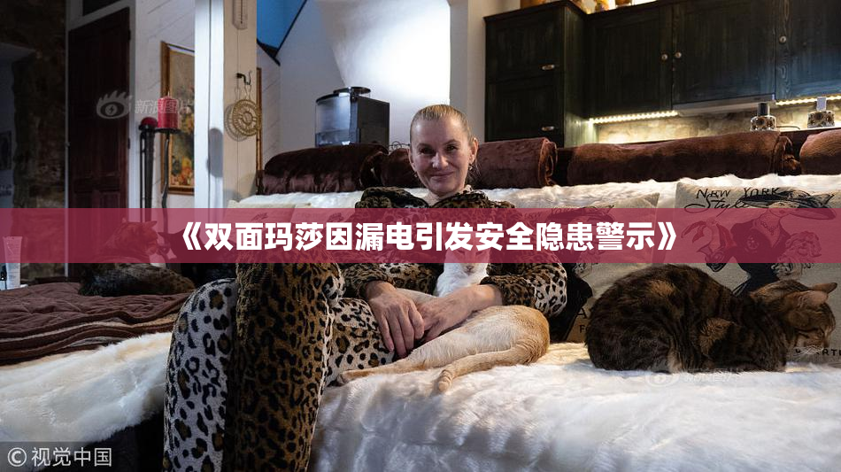 《双面玛莎因漏电引发安全隐患警示》