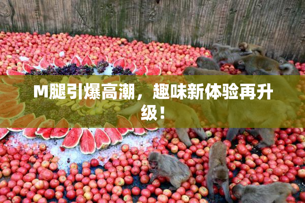 M腿引爆高潮，趣味新体验再升级！