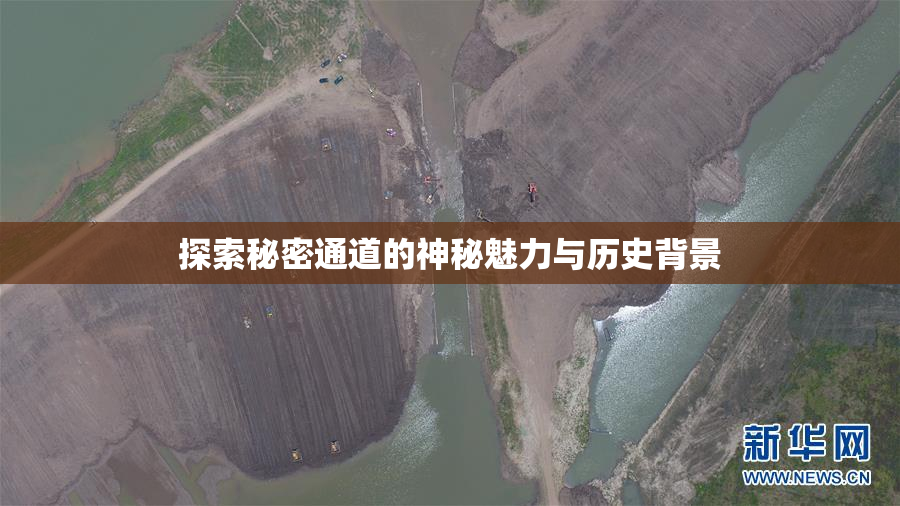探索秘密通道的神秘魅力与历史背景