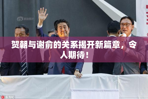 贺朝与谢俞的关系揭开新篇章，令人期待！