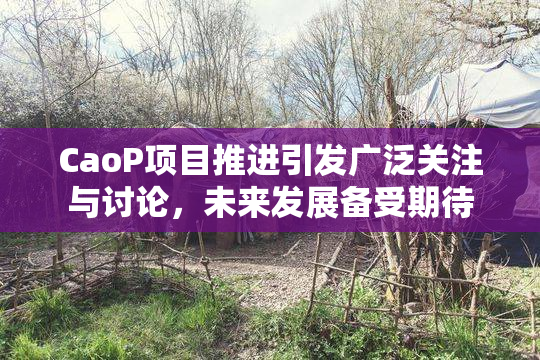 CaoP项目推进引发广泛关注与讨论，未来发展备受期待