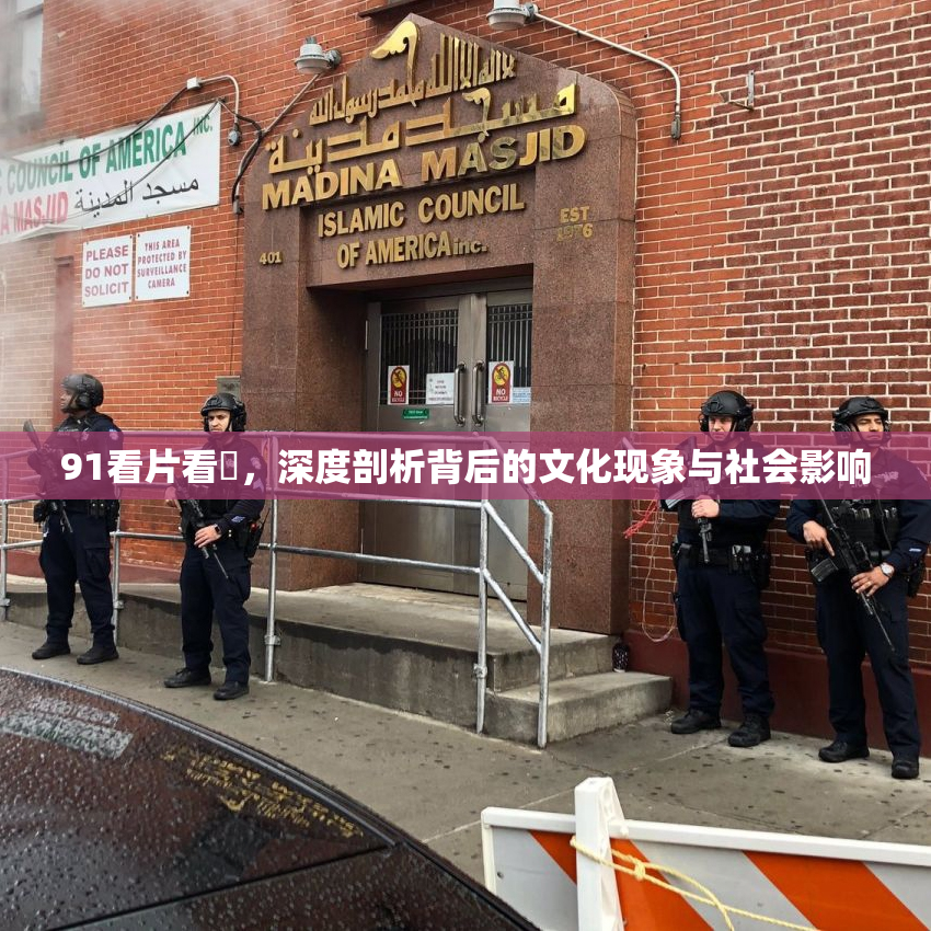 91看片看婬，深度剖析背后的文化现象与社会影响
