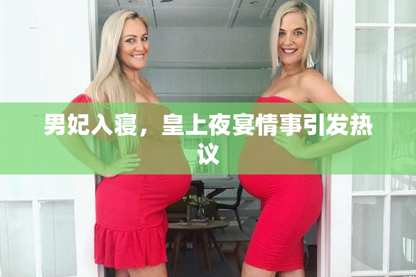 男妃入寝，皇上夜宴情事引发热议