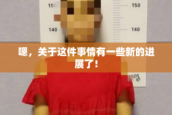 嗯，关于这件事情有一些新的进展了！