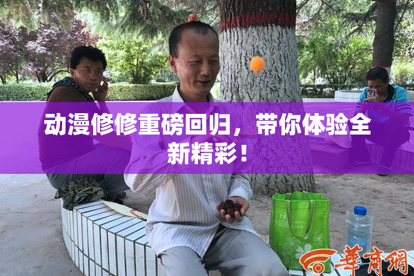 动漫修修重磅回归，带你体验全新精彩！