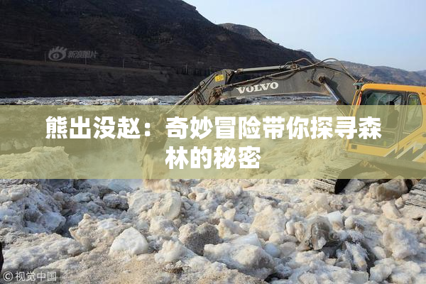 熊出没赵：奇妙冒险带你探寻森林的秘密