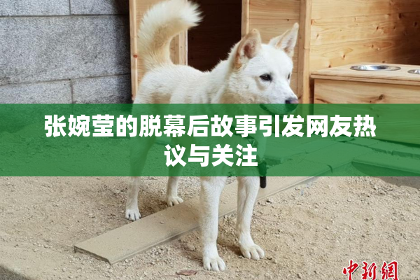 张婉莹的脱幕后故事引发网友热议与关注