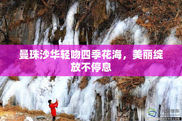 曼珠沙华轻吻四季花海，美丽绽放不停息