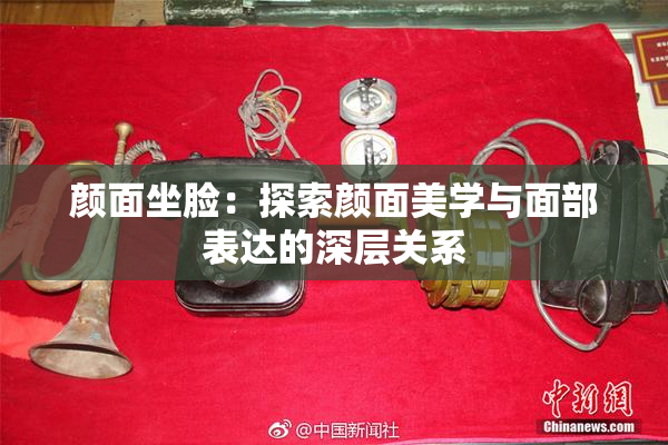 颜面坐脸：探索颜面美学与面部表达的深层关系