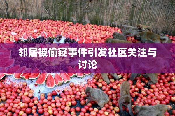 邻居被偷窥事件引发社区关注与讨论