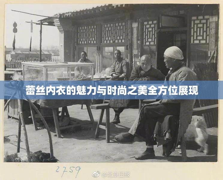 蕾丝内衣的魅力与时尚之美全方位展现