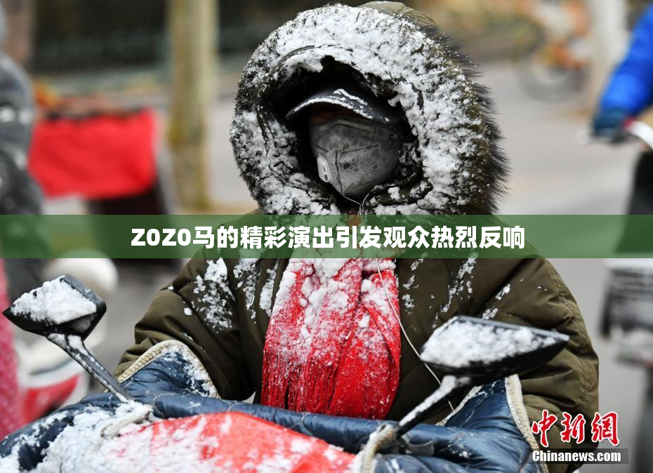 Z0Z0马的精彩演出引发观众热烈反响