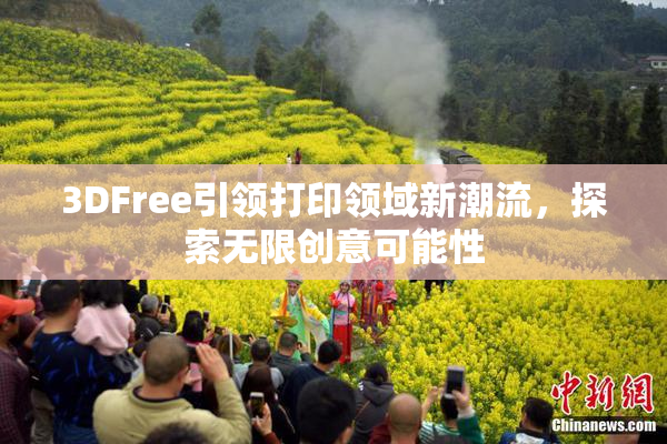 3DFree引领打印领域新潮流，探索无限创意可能性