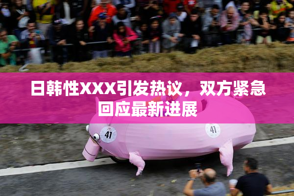 日韩性XXX引发热议，双方紧急回应最新进展
