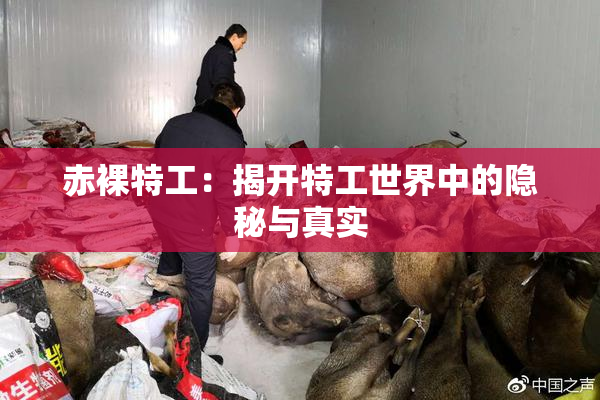 赤裸特工：揭开特工世界中的隐秘与真实