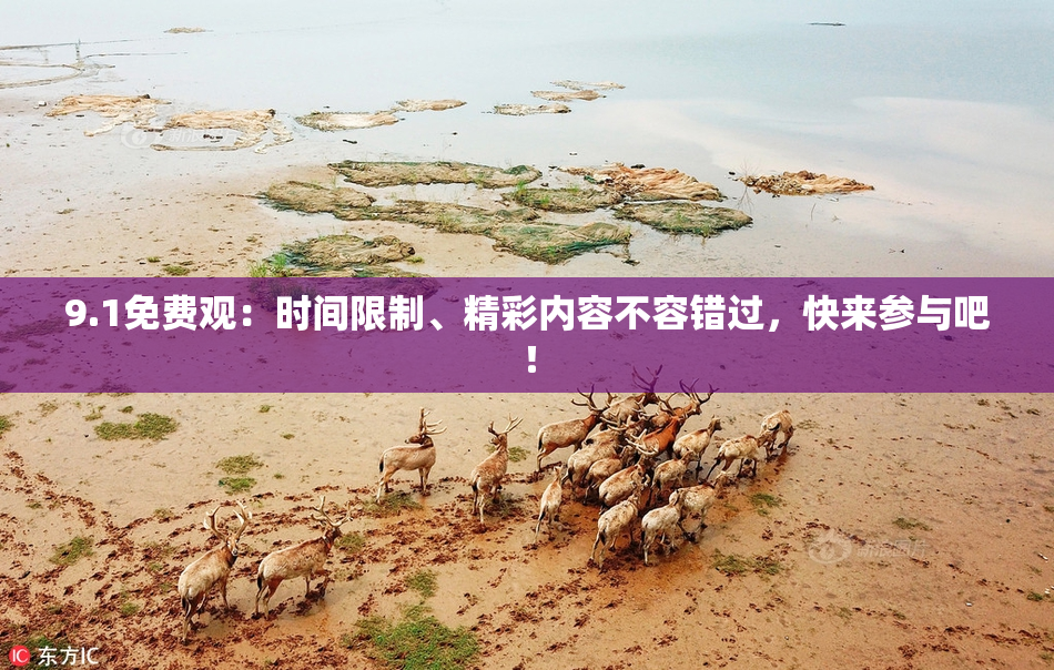 9.1免费观：时间限制、精彩内容不容错过，快来参与吧！