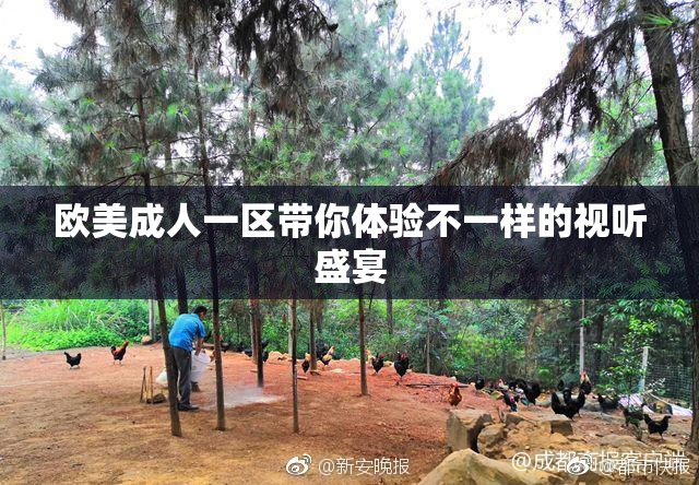 欧美成人一区带你体验不一样的视听盛宴