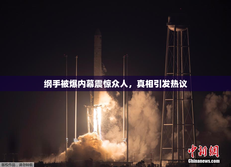 纲手被爆内幕震惊众人，真相引发热议
