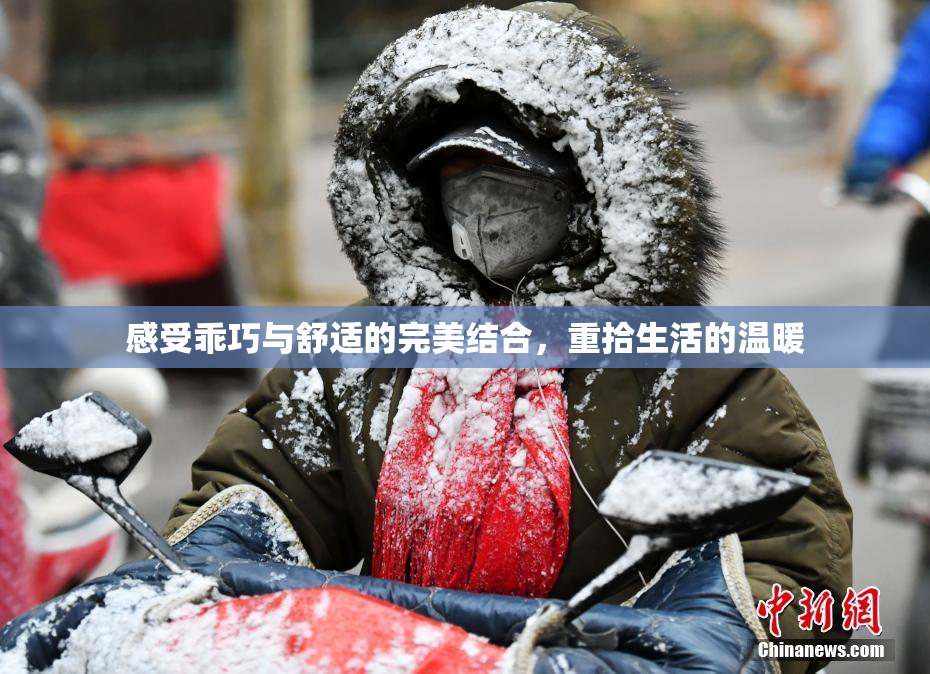 感受乖巧与舒适的完美结合，重拾生活的温暖