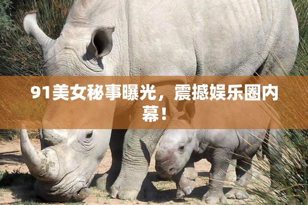 91美女秘事曝光，震撼娱乐圈内幕！