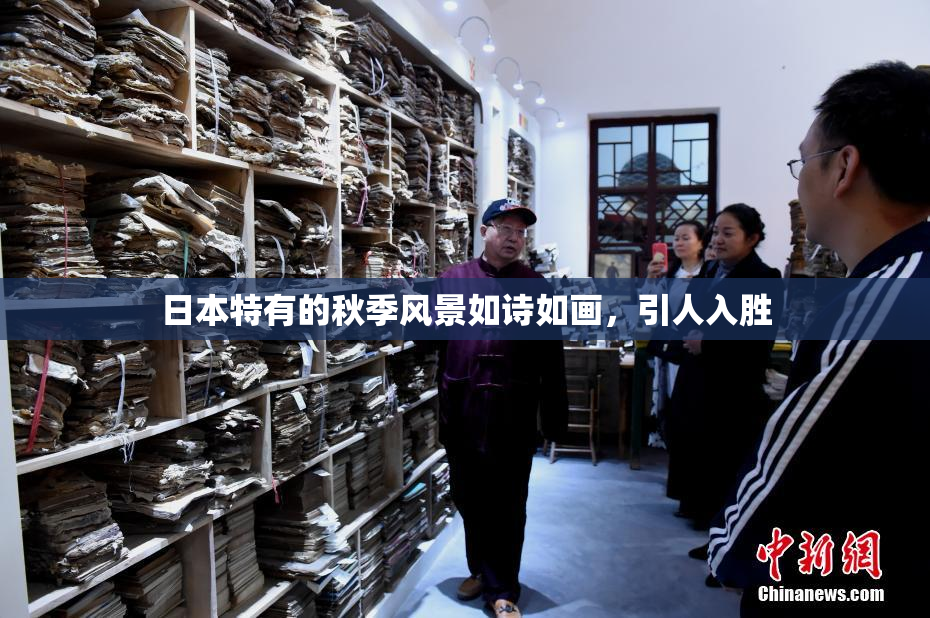 日本特有的秋季风景如诗如画，引人入胜
