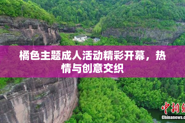 橘色主题成人活动精彩开幕，热情与创意交织