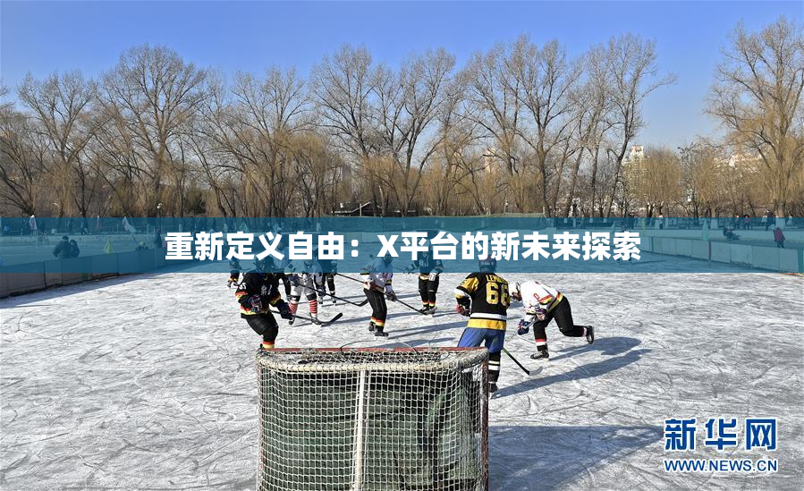 重新定义自由：X平台的新未来探索